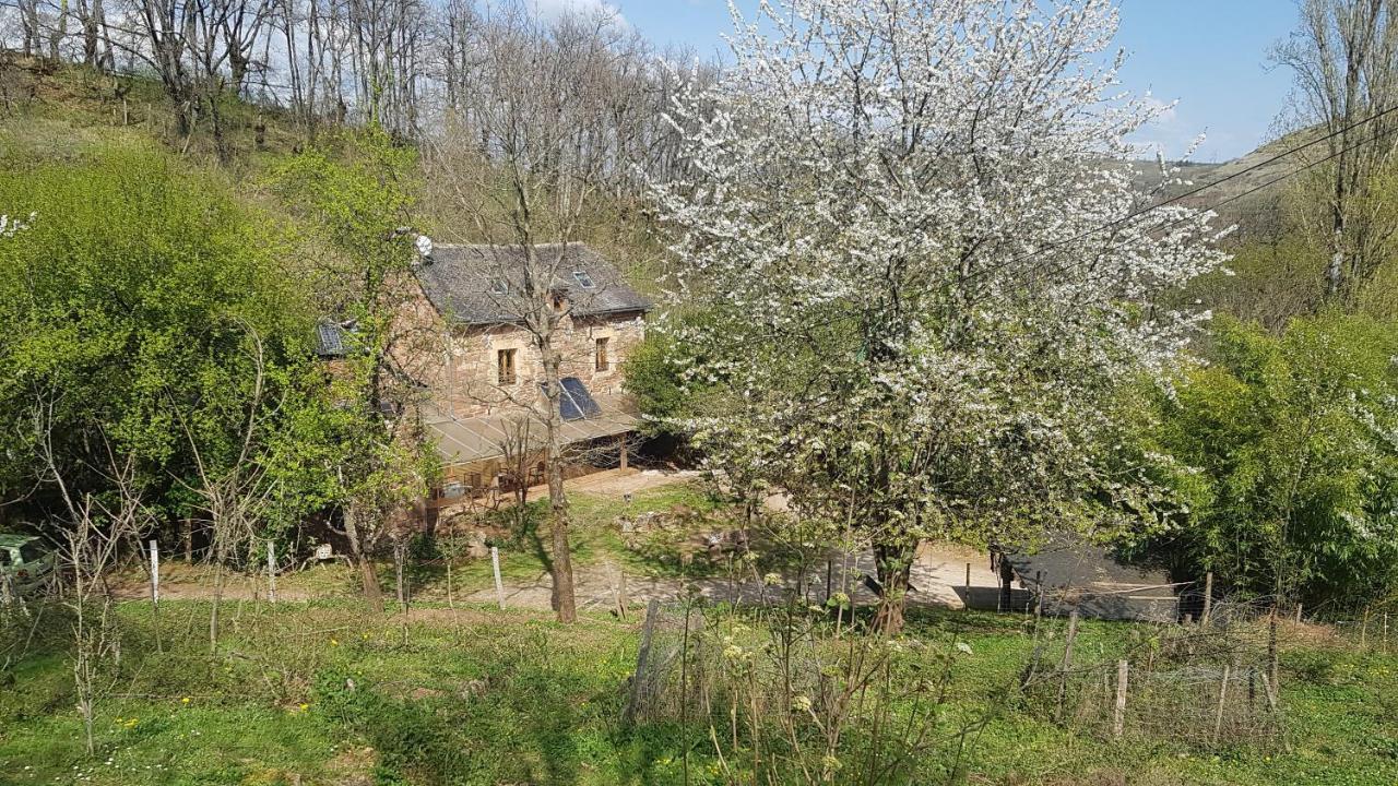 Maison Isolee Dans Les Vignes Et Les Bois Valady Exterior foto