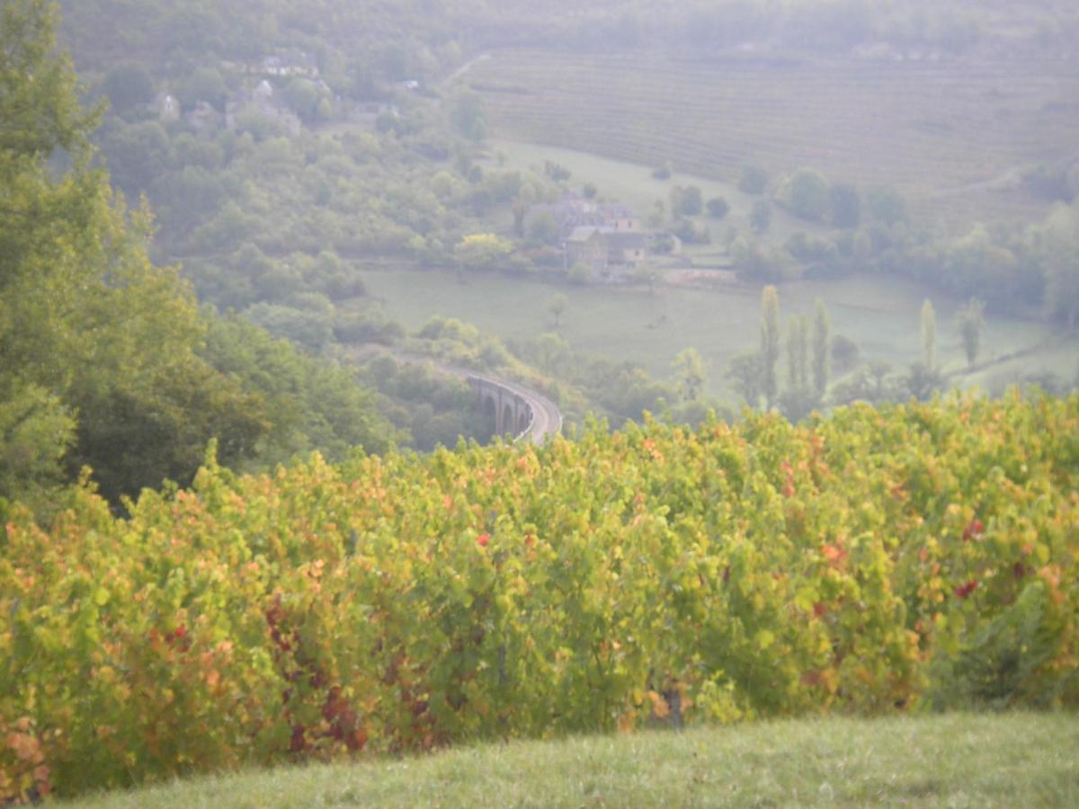 Maison Isolee Dans Les Vignes Et Les Bois Valady Exterior foto